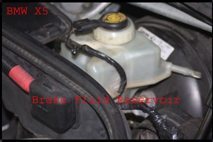 BMW X5 - Location of brake fluid reservoir.