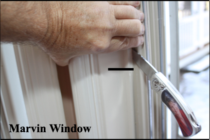 Marvin Wood Double Hung Windows - Shows snapping hard edge of vinyl track into wood frame