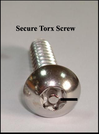 Secure Torx Screw